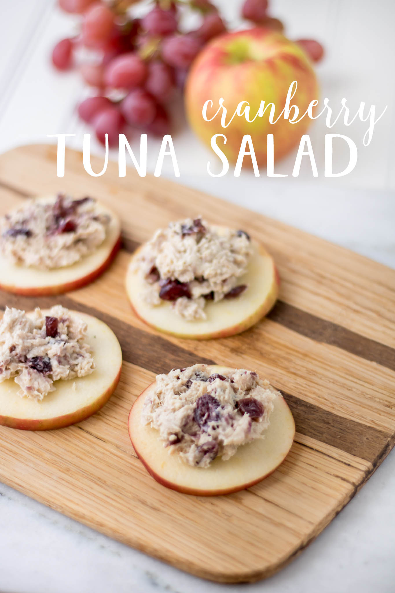 Snack Time!  Cranberry Tuna Salad